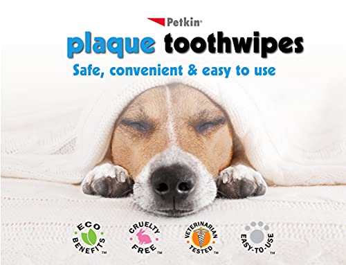 Petkin Cat and Dog Dental Wipes, 80 Wipes (Fresh Mint) - Natural Formula Cleans Teeth, Gums & Freshens Breath - for Daily Use - Convenient Dog Dental Care - 2 Packs of 40 Wipes (80 Wipes Total)
