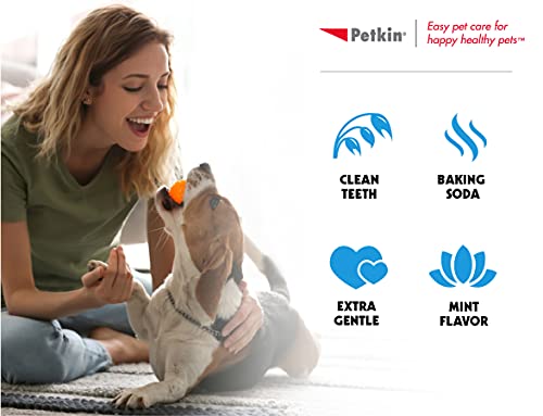 Petkin Cat and Dog Dental Wipes, 80 Wipes (Fresh Mint) - Natural Formula Cleans Teeth, Gums & Freshens Breath - for Daily Use - Convenient Dog Dental Care - 2 Packs of 40 Wipes (80 Wipes Total)