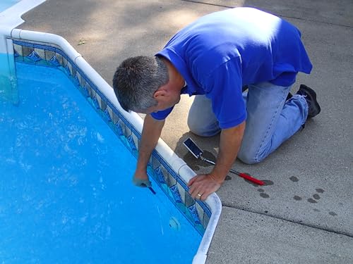 Pool Leak Detection Kit - Leakmaster Leak Location Dye with Refillable Syringe - Diagnose Leaks in Swimming Pools, Spas, and Hot Tubs (Blue Dye, 8 oz)