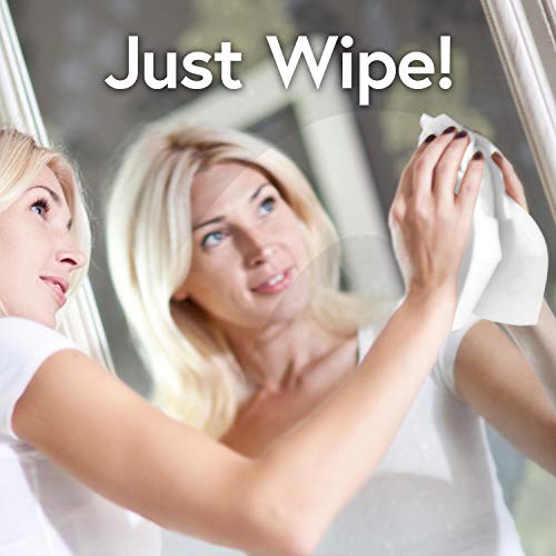 Windex Wipes Glass Cleaning Ammonia Free, Pre-Moistened Glass and Surface Wipes to Clean All Glass Surfaces, Crystal Rain Fresh Scent, 25 Count