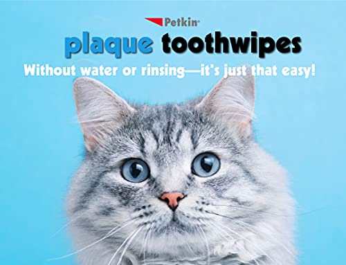 Petkin Cat and Dog Dental Wipes, 80 Wipes (Fresh Mint) - Natural Formula Cleans Teeth, Gums & Freshens Breath - for Daily Use - Convenient Dog Dental Care - 2 Packs of 40 Wipes (80 Wipes Total)
