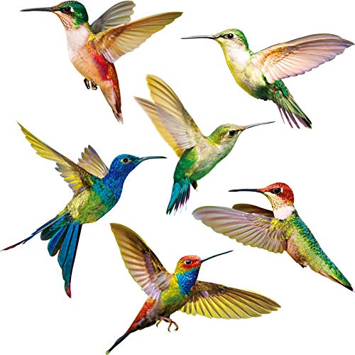6 Pieces Large Size Hummingbird Window Clings Anti-Collision Window Clings Decals to Prevent Bird Strikes on Window Glass Non