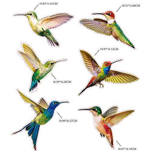 6 Pieces Large Size Hummingbird Window Clings Anti-Collision Window Clings Decals to Prevent Bird Strikes on Window Glass Non
