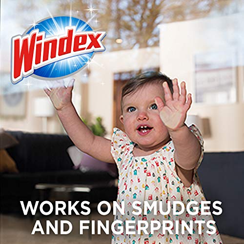 Windex Wipes Glass Cleaning Ammonia Free, Pre-Moistened Glass and Surface Wipes to Clean All Glass Surfaces, Crystal Rain Fresh Scent, 25 Count
