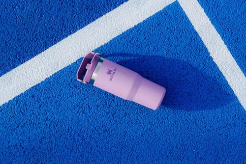 Stanley IceFlow Stainless Steel Tumbler - Vacuum Insulated Water Bottle for Home, Office or Car Reusable Cup with Straw Leak Resistant Flip Cold for 12 Hours or Iced for 2 Days, Lilac, 30 OZ / 0.89 L