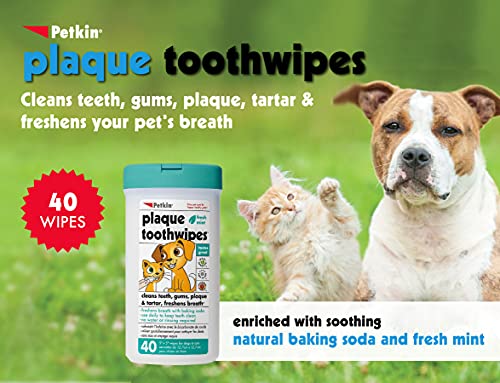 Petkin Cat and Dog Dental Wipes, 80 Wipes (Fresh Mint) - Natural Formula Cleans Teeth, Gums & Freshens Breath - for Daily Use - Convenient Dog Dental Care - 2 Packs of 40 Wipes (80 Wipes Total)