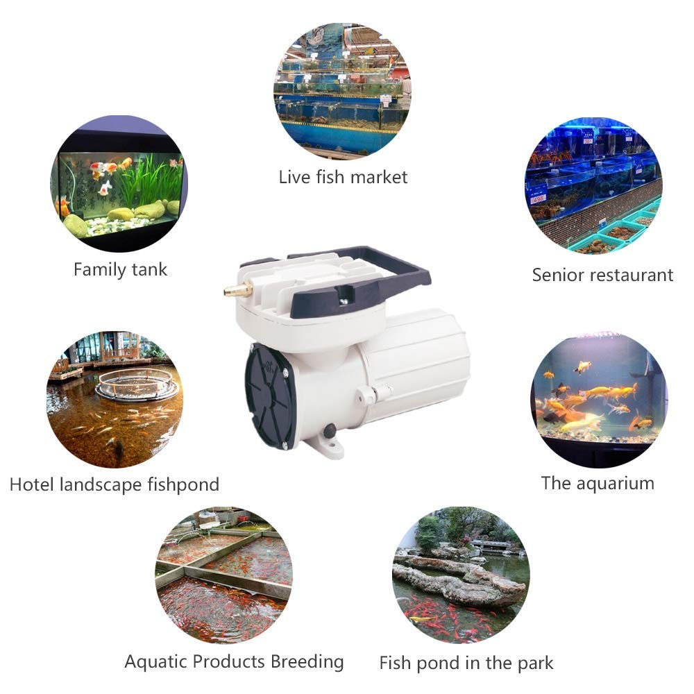 HEALiNK DC 12V 160LPM/Min 2536GPH 120W Aquarium Air Pumps Aquaculture Fish pood Pressure Compressor Aerator