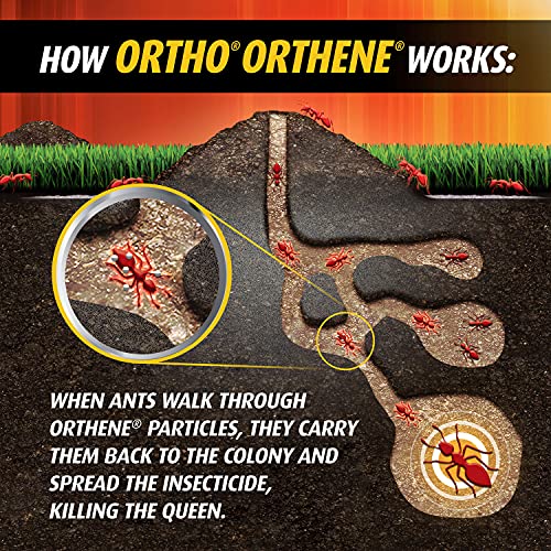 Ortho Orthene Fire Ant Killer1, Kills Queen, Destroys up to 162 Mounds, 12 oz. Dry Powder, Ant Poison Works in 60 minutes