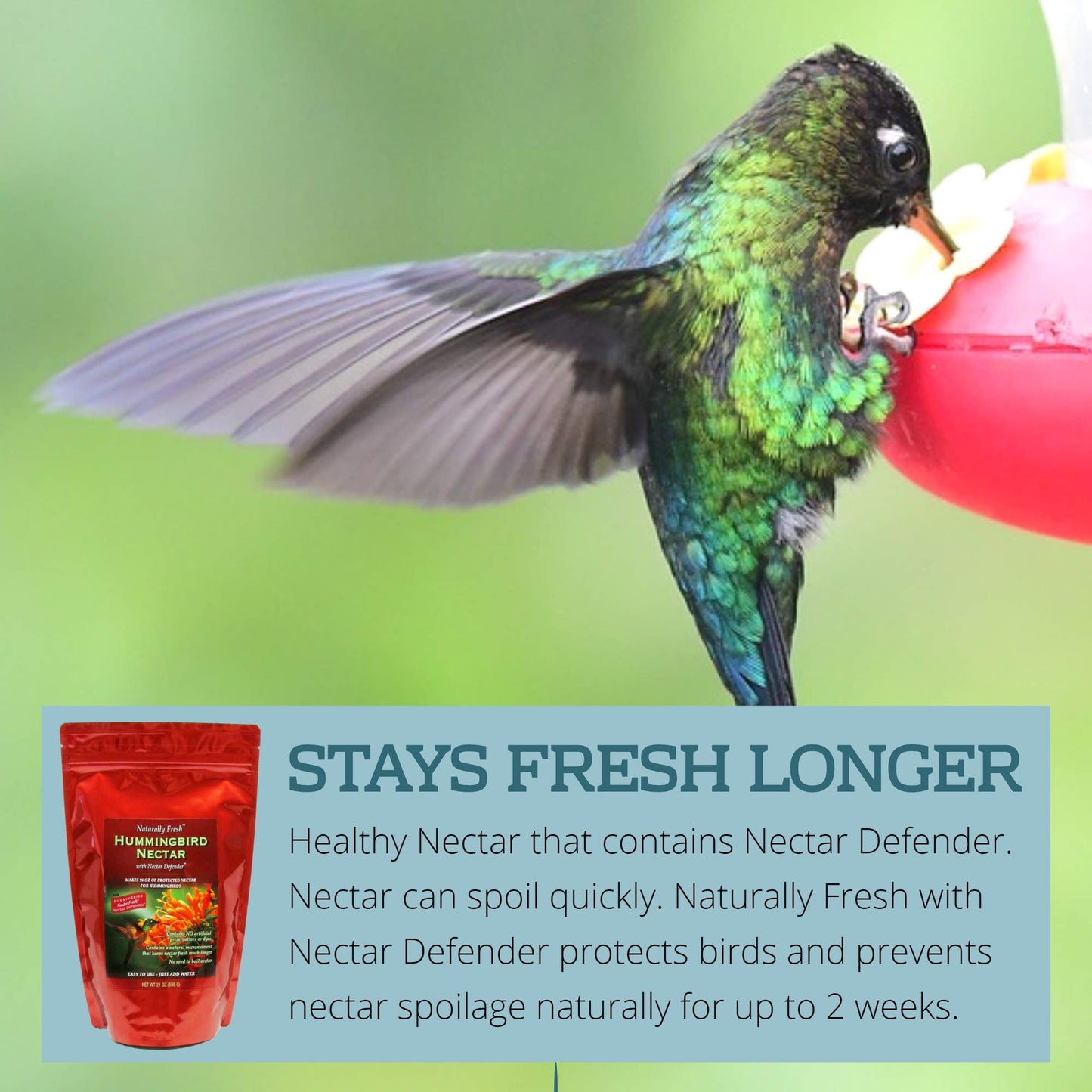 Sapphire Labs Naturally Fresh Hummingbird Nectar with Nectar Defender Lasts Longer in Hummingbird Feeders | Easy to Use Powder | Makes 96 oz of Clear Hummingbird Nectar | 2 Pack