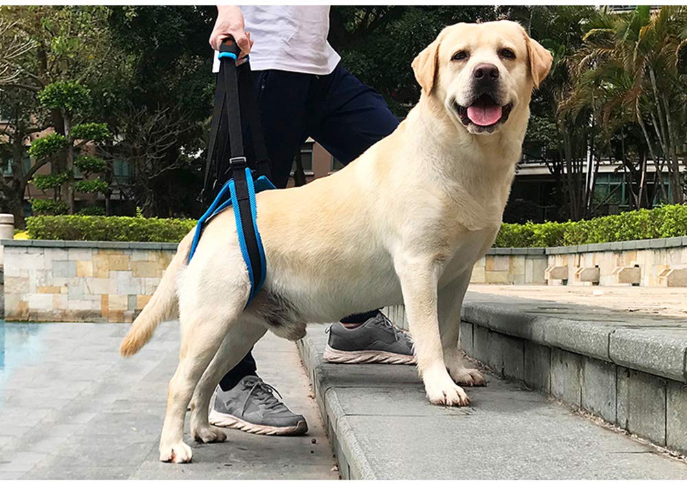 Tineer Dog Lift Harness for Back Legs Pet Support Harness Rear Sling Help Weak Legs Stand Up Support Balance Harness for Arthritis Rehabilitation Dogs (XL)