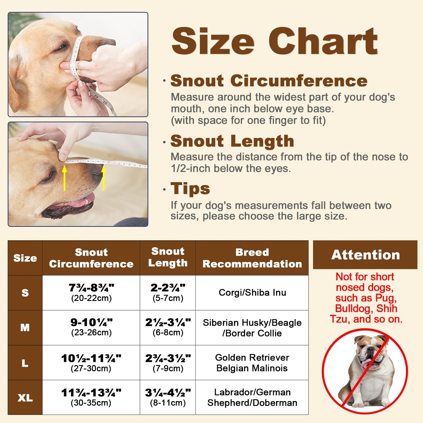 Mayerzon Dog Muzzle, Basket Muzzle for Large Medium Small Dogs, Humane Cage Mouth Guard to Prevent Biting Chewing Eating, Breathable Muzzle for Grooming Training Walking Vet Visits (M, Clear)
