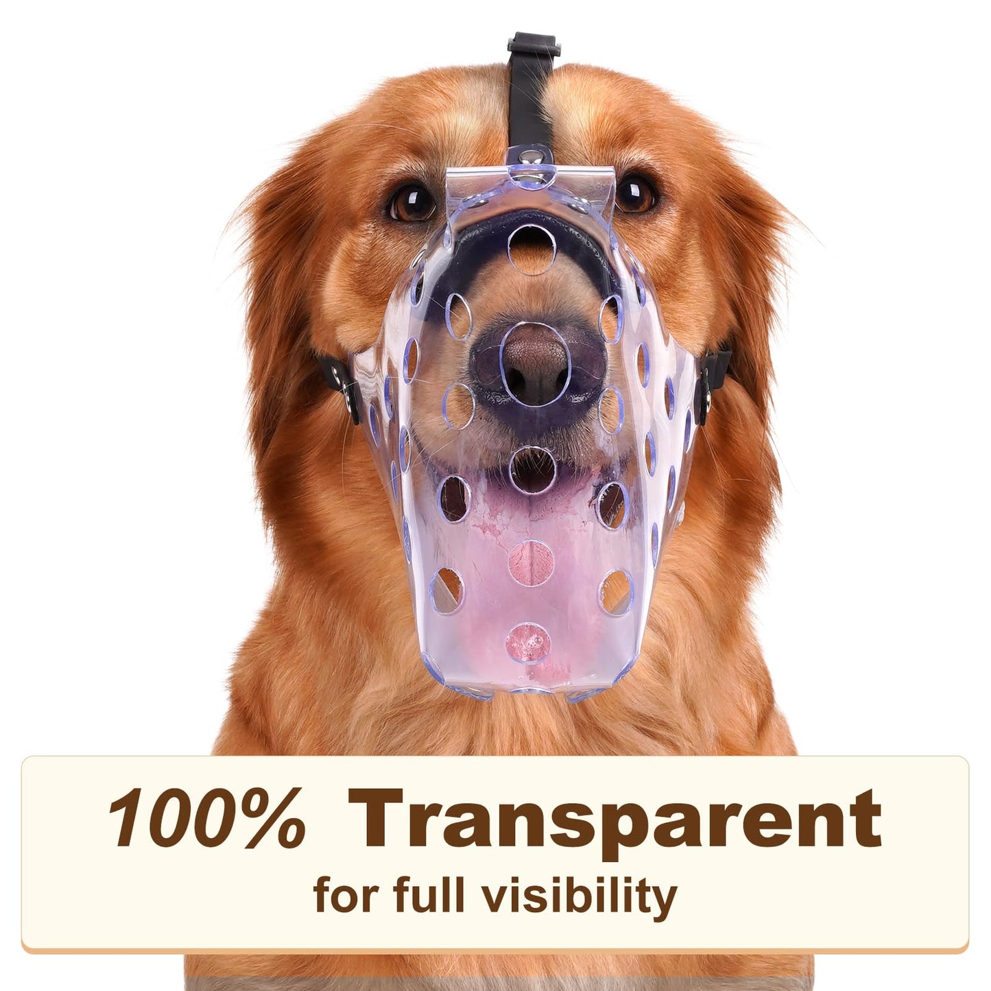 Mayerzon Dog Muzzle, Basket Muzzle for Large Medium Small Dogs, Humane Cage Mouth Guard to Prevent Biting Chewing Eating, Breathable Muzzle for Grooming Training Walking Vet Visits (M, Clear)