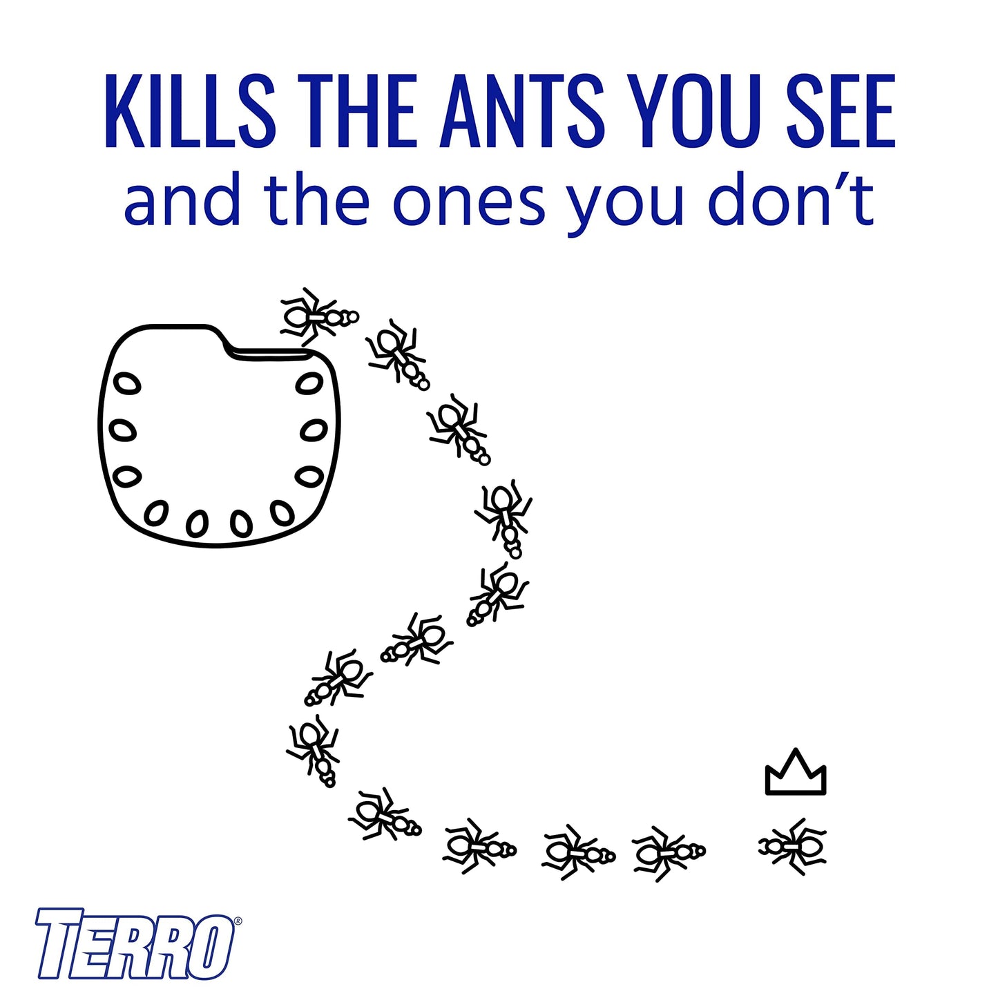 Terro T334B Indoor Multi-Surface Liquid Ant Bait and Ant Killer - 4 Discreet Ant Bait Stations - Kills Common Household Ants (Pack of 2)