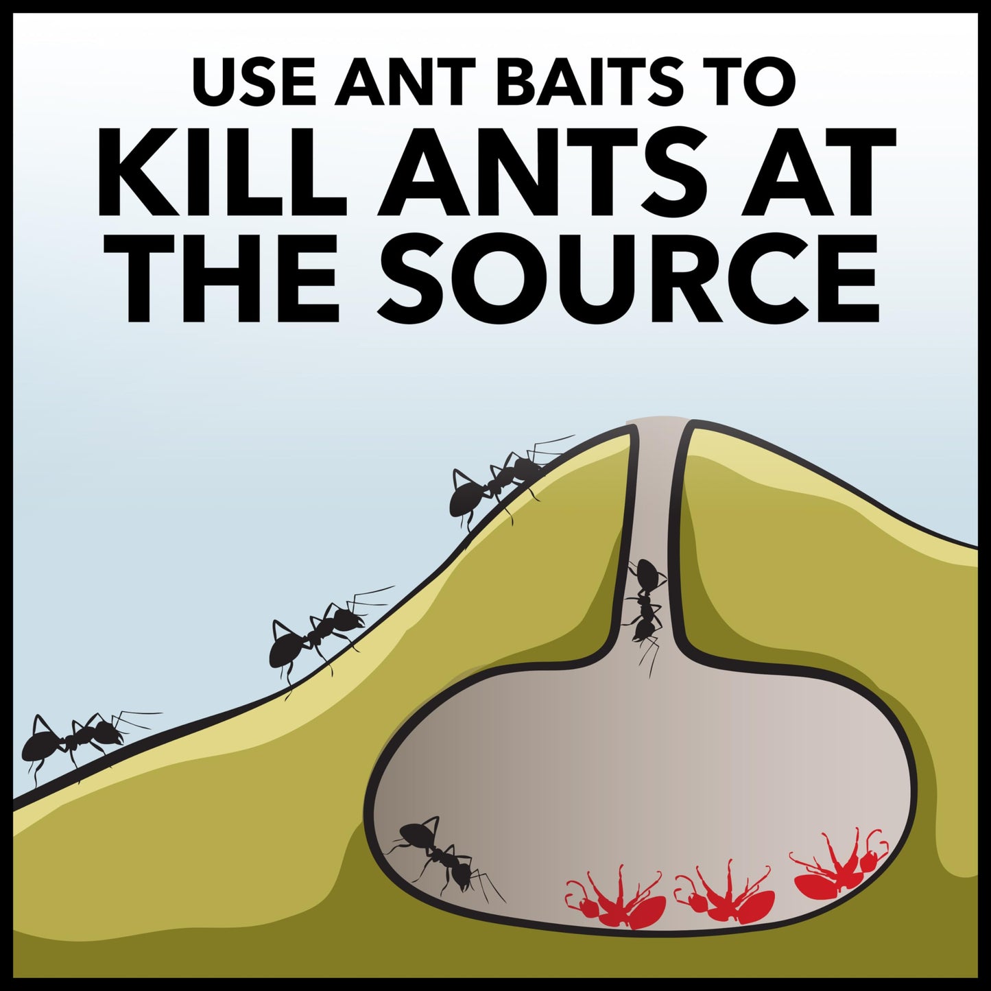 Raid Ant Killer Baits, Child Resistant Bug Killer for Indoor Home Use, 0.24 Oz, 8 Count