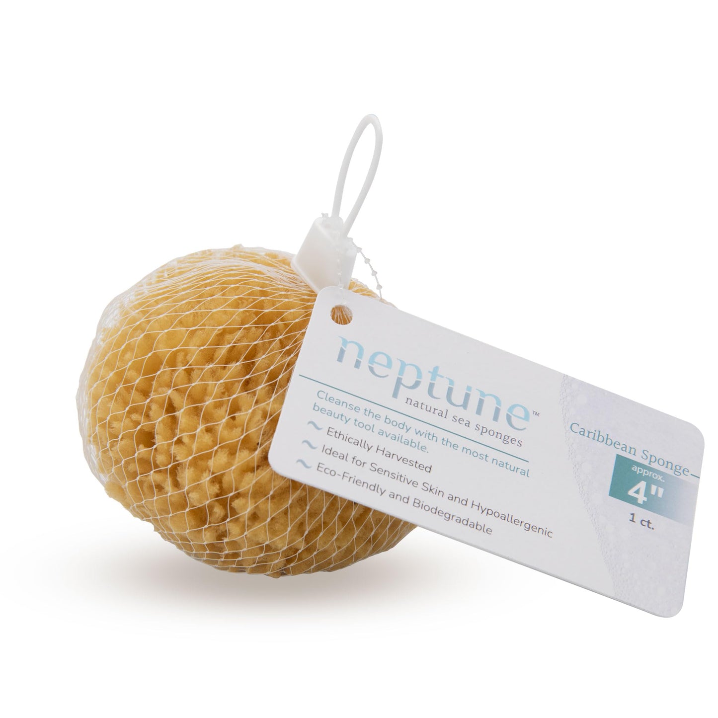 Neptune Natural Caribbean Sea Sponge - All Natural Renewable Sea Sponge (4 inch)