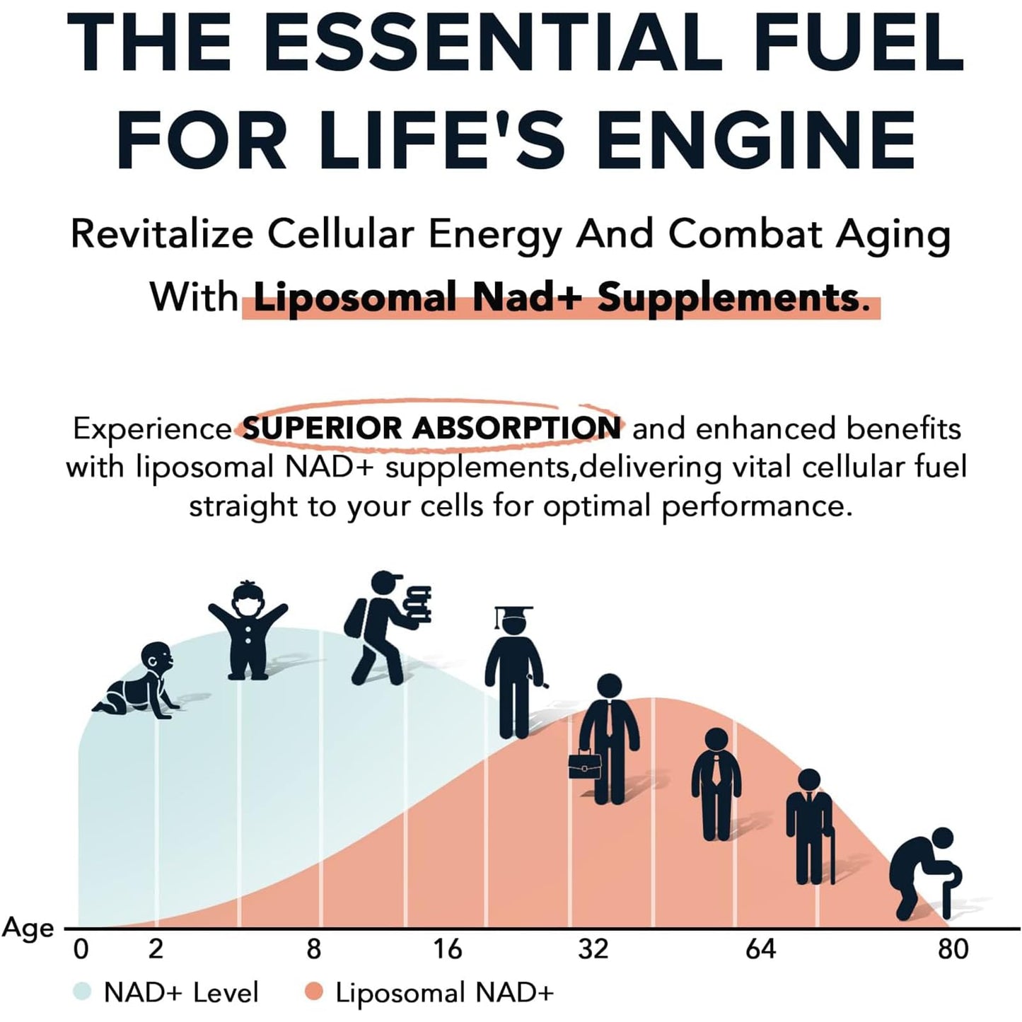 NR900 NAD+ Energy Supplement - Advanced Liposomal Nicotinamide Riboside for Cellular Energy, Focus & Muscle Strength - 80 Count - Sugar-Free, Gluten-Free, Non-GMO (80 Count (Pack of 1))