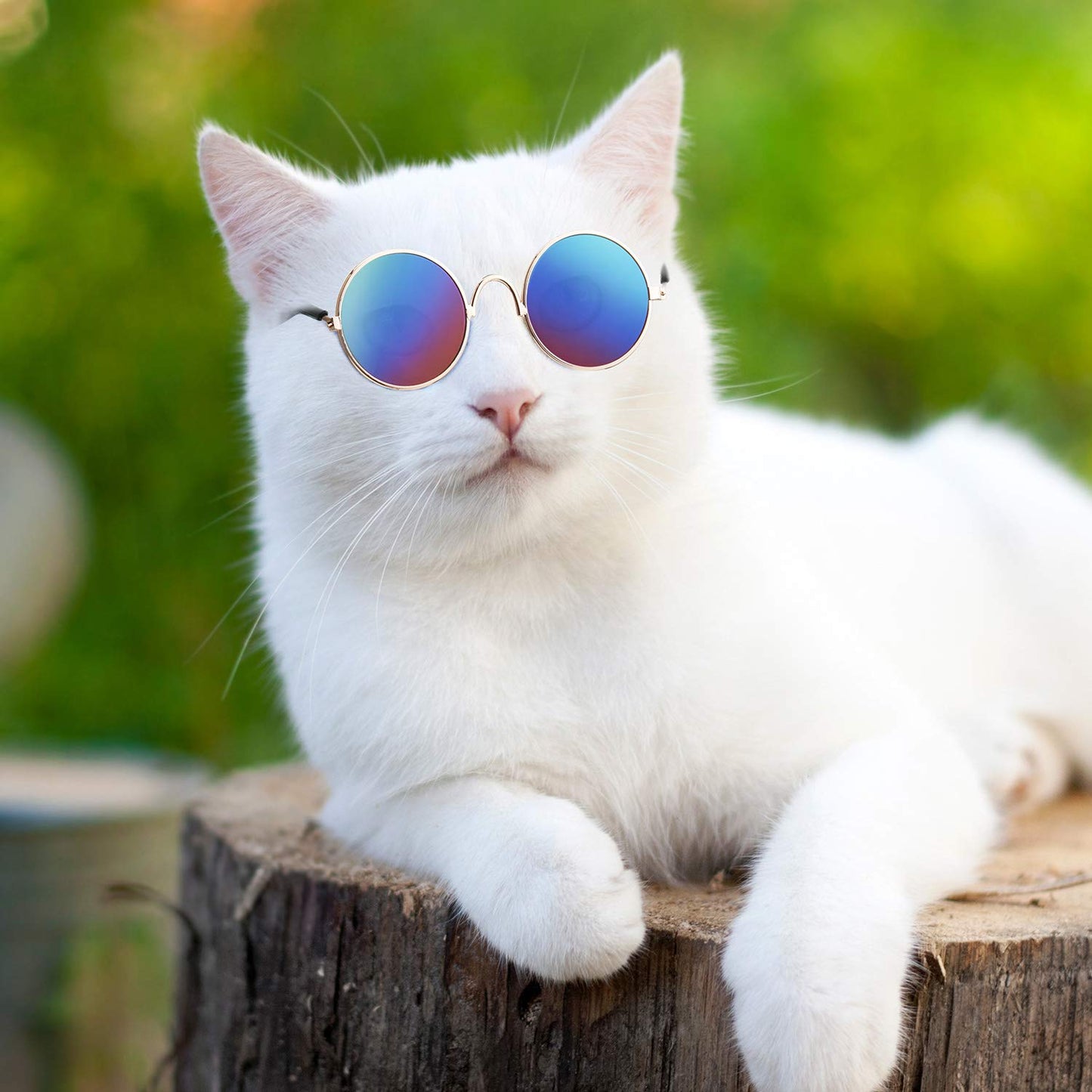 6 Pieces Cat Sunglasses Funny Pet Sunglasses Small Dog Sunglasses Classic Retro Circular Pomeranian Sunglasses Eyewear Photos Props