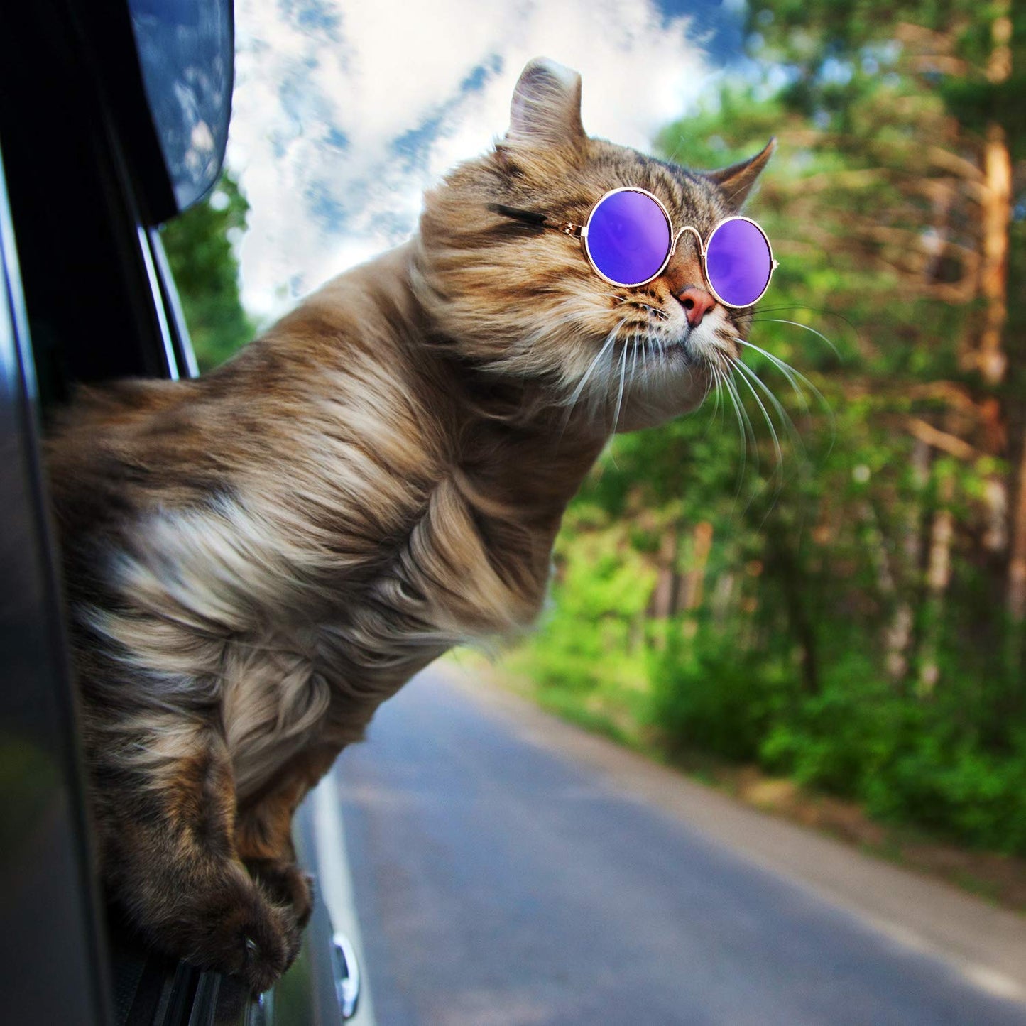 6 Pieces Cat Sunglasses Funny Pet Sunglasses Small Dog Sunglasses Classic Retro Circular Pomeranian Sunglasses Eyewear Photos Props