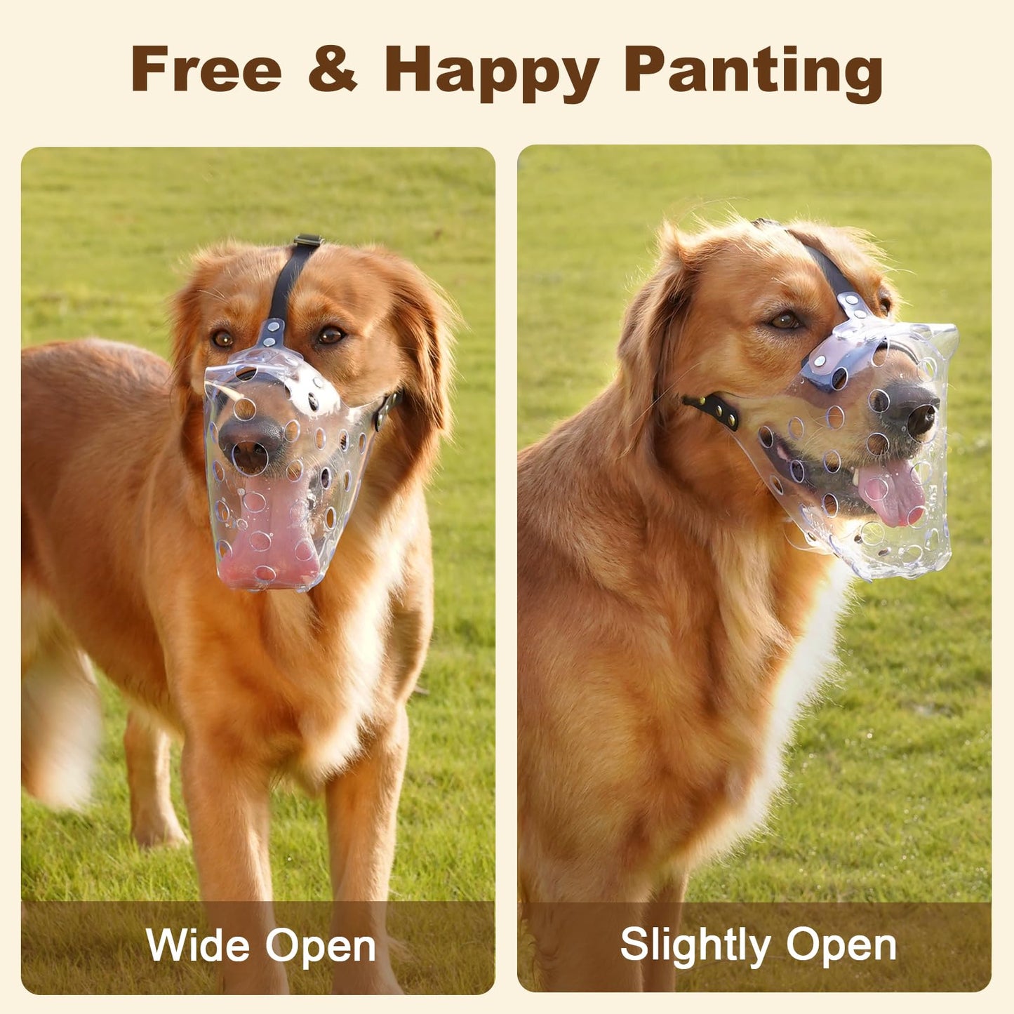 Mayerzon Dog Muzzle, Basket Muzzle for Large Medium Small Dogs, Humane Cage Mouth Guard to Prevent Biting Chewing Eating, Breathable Muzzle for Grooming Training Walking Vet Visits (M, Clear)