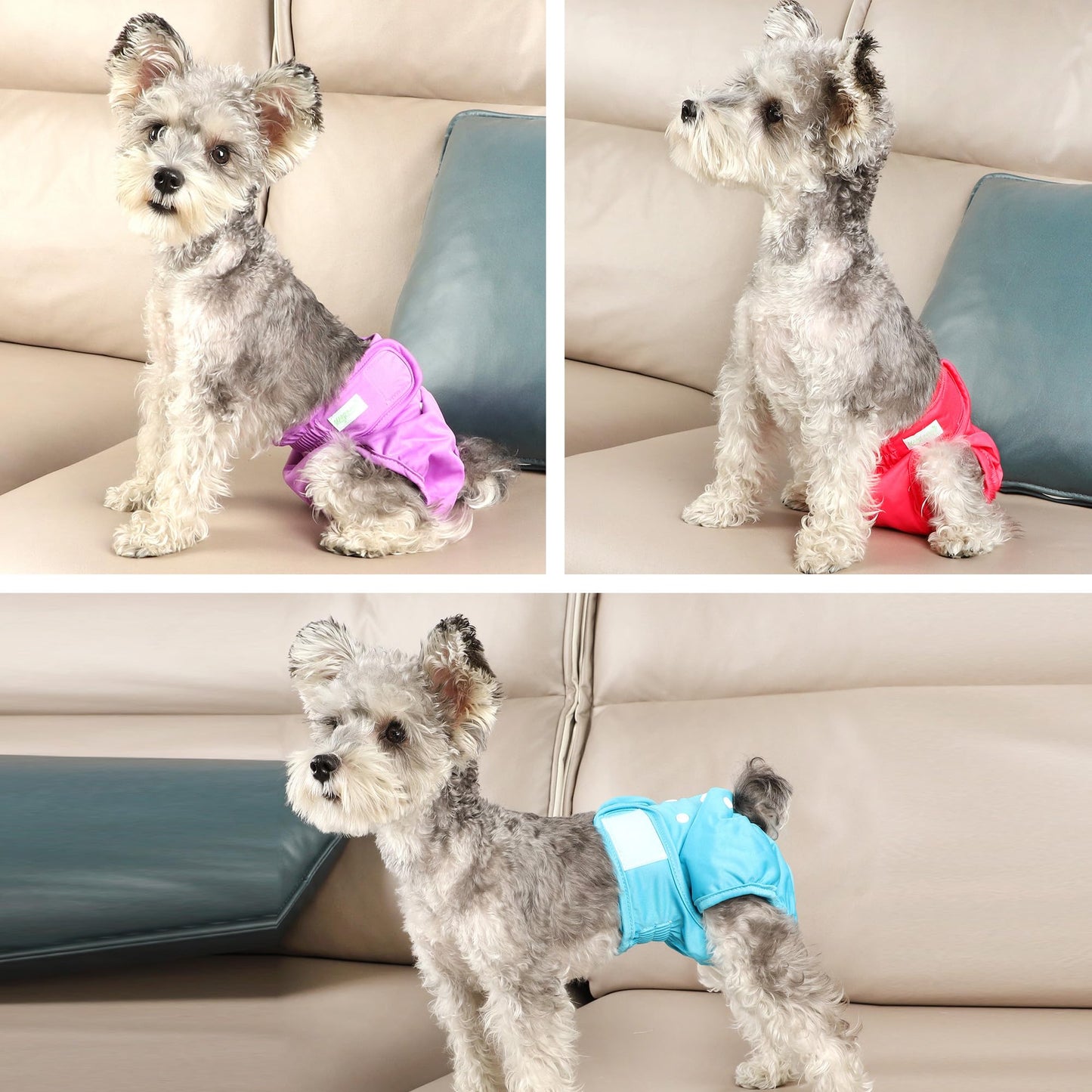 wegreeco Washable Reusable Premium Female Dog Diapers, Small Medium Large Size,for Female Dog, Pack of 3,Small Dog Doggie Puppy & Doggy Diapers Female,Dog Period Panties Diapers Female in Heat