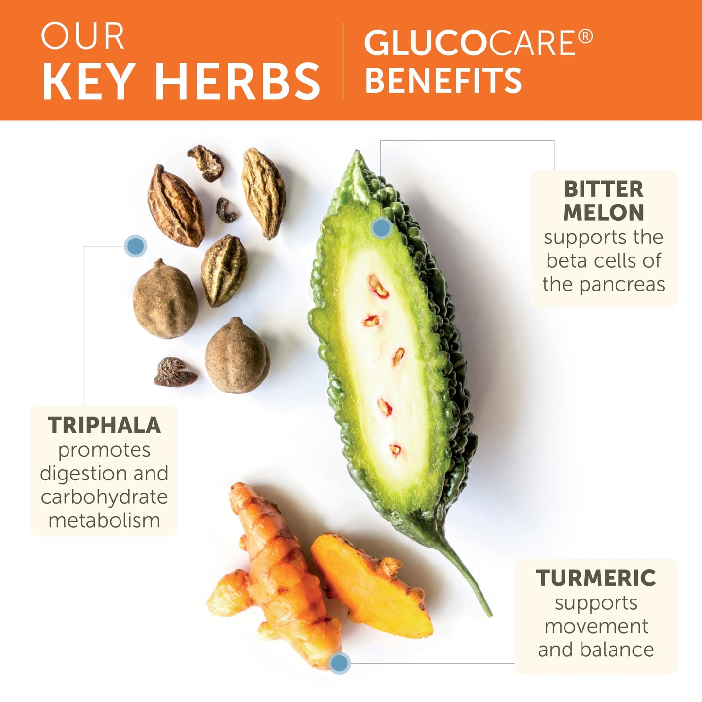 Himalaya GlucoCare Herbal Supplement, Metabolism Support, Pancreatic Support, Triphala, Bitter Melon, Turmeric, Gluten Free, Vegan, 90 Capsules