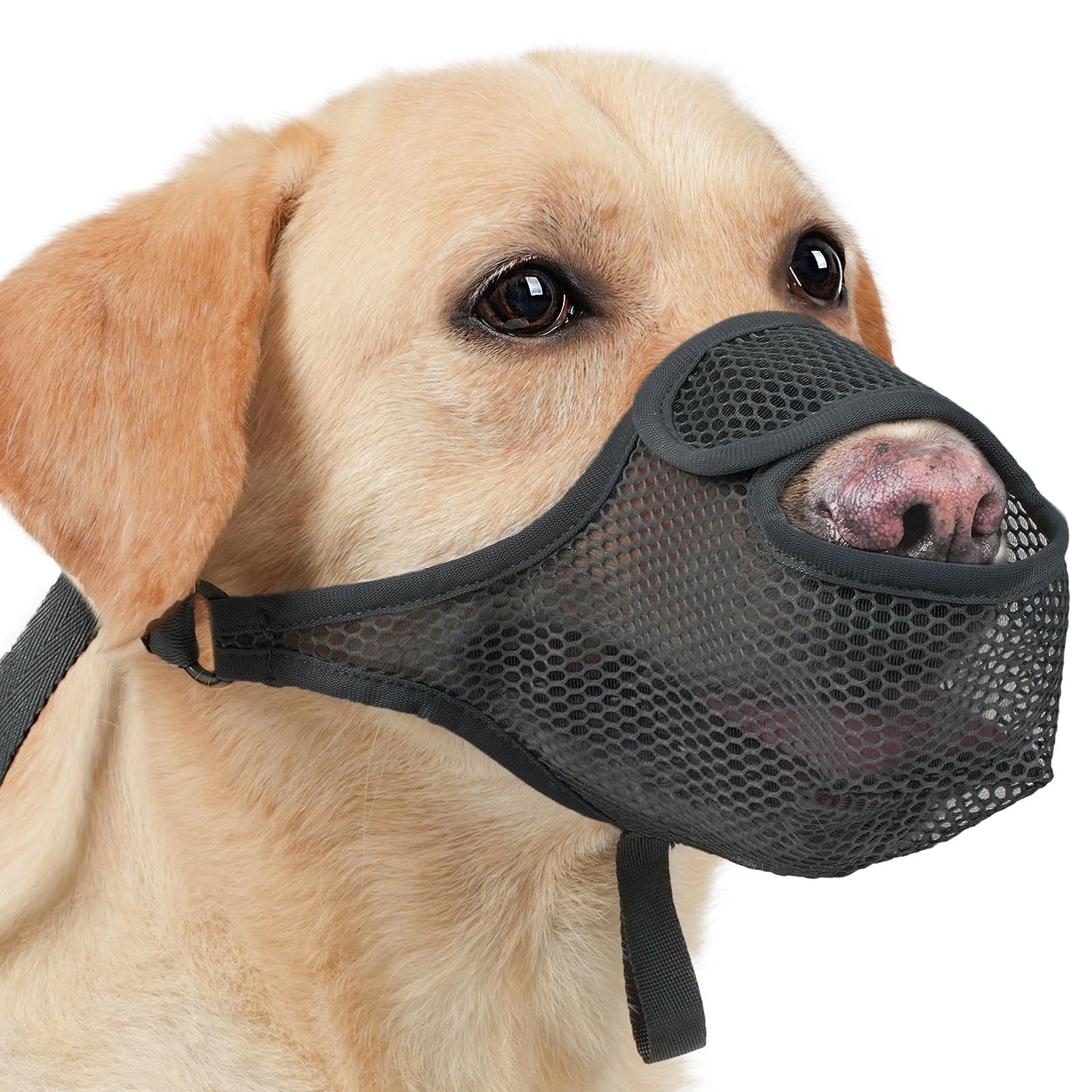 LUCKYPAW Dog Muzzle for Large Medium Small Dogs, Mesh Muzzle for Dog to Prevent Biting Chewing Licking Eating, Soft Dog Muzzle with Front Opening Design for Drinking Panting