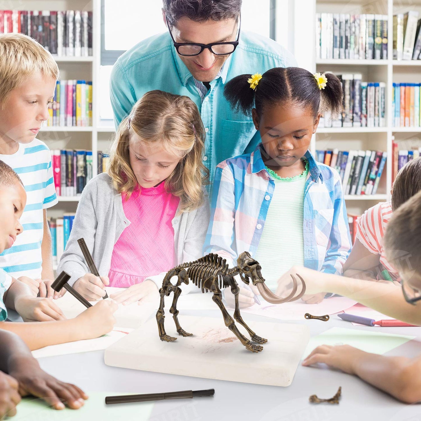 VIBIRIT Dig Up Dinosaurs Skeleton Set,Dinosaur Digging Fossil Kit Model Toys Educational Realistic Toys for Kids,Boys,Girls