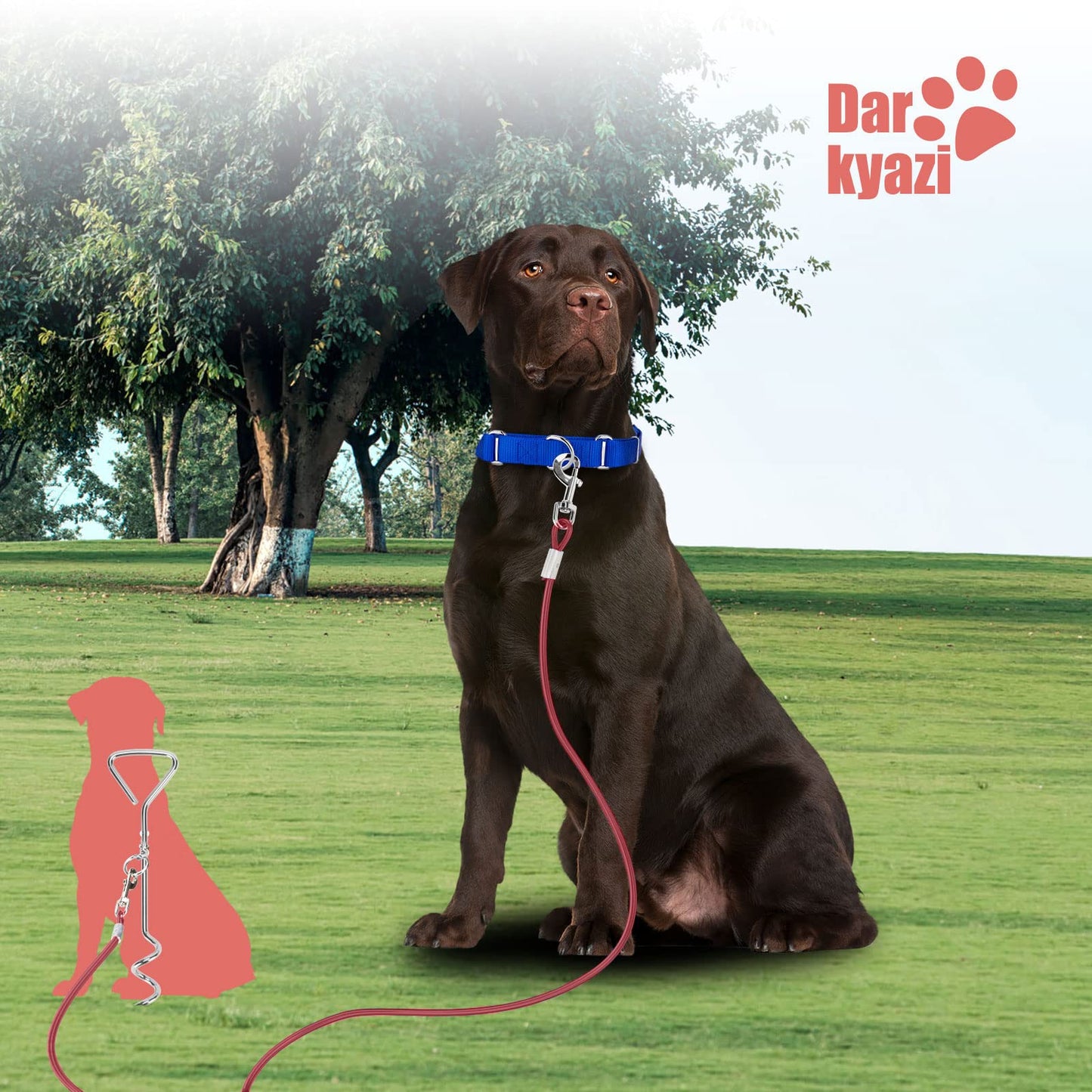 Darkyazi Dog Stake Tie Out Cable and Reflective Stake 16 ft Outdoor, Yard and Camping, for Medium to Large Dogs Up to 125 lbs (16ft Cable, 18" Stake, Red)
