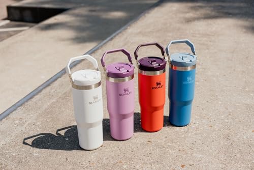 Stanley IceFlow Stainless Steel Tumbler - Vacuum Insulated Water Bottle for Home, Office or Car Reusable Cup with Straw Leak Resistant Flip Cold for 12 Hours or Iced for 2 Days, Lilac, 30 OZ / 0.89 L
