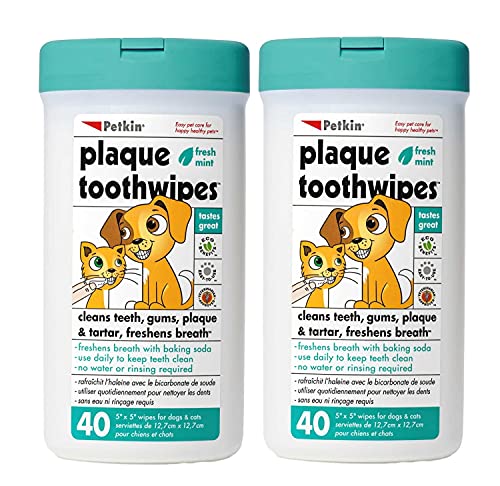 Petkin Cat and Dog Dental Wipes, 80 Wipes (Fresh Mint) - Natural Formula Cleans Teeth, Gums & Freshens Breath - for Daily Use - Convenient Dog Dental Care - 2 Packs of 40 Wipes (80 Wipes Total)