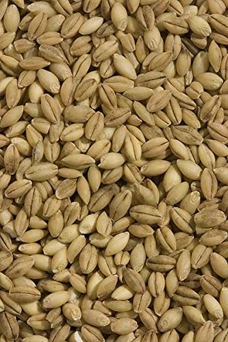 Shiloh Farms - Organic Non GMO Hulless Barley 15 ounce - 2 pack