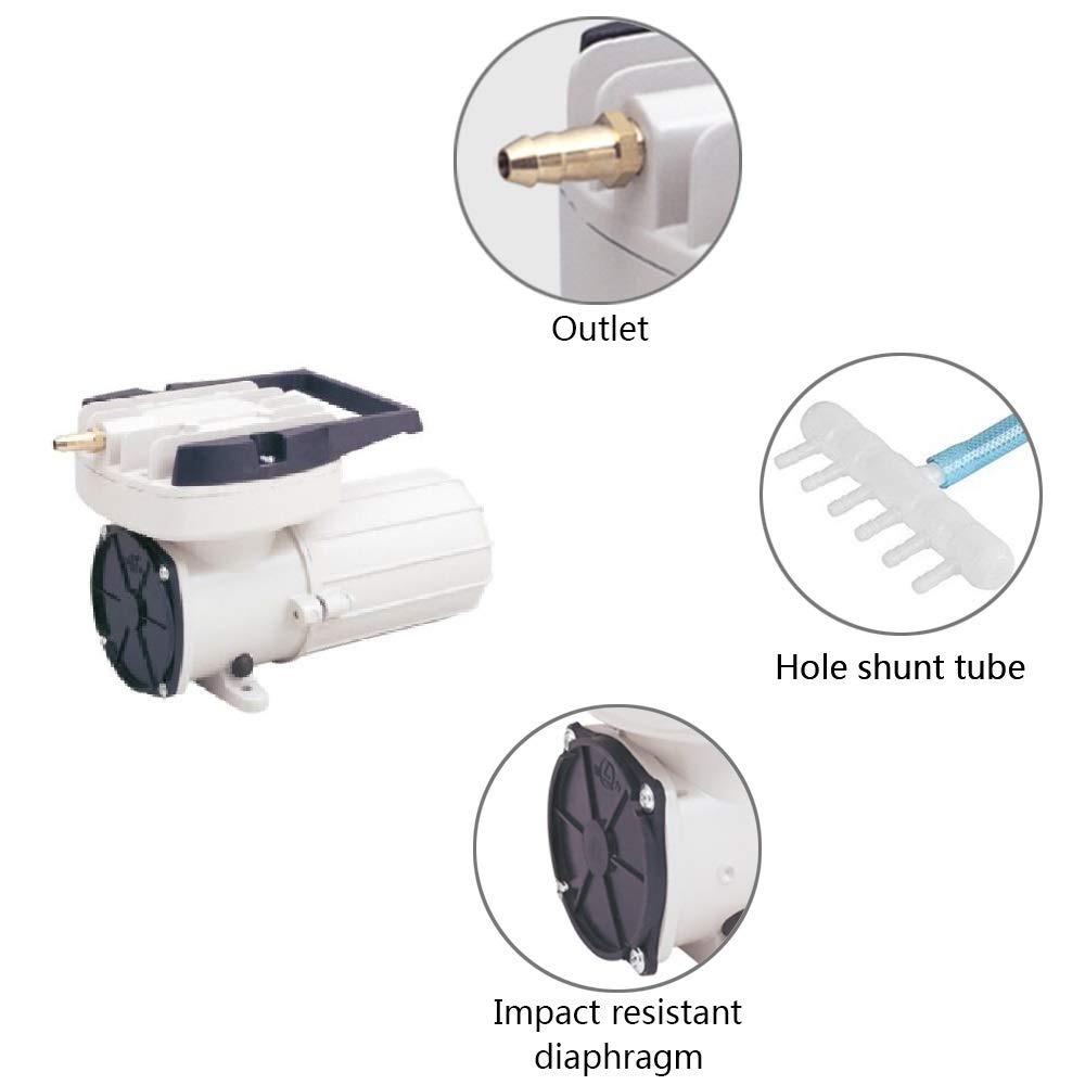 HEALiNK DC 12V 160LPM/Min 2536GPH 120W Aquarium Air Pumps Aquaculture Fish pood Pressure Compressor Aerator