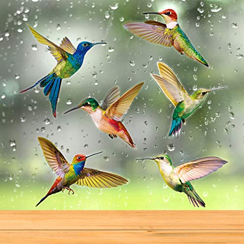6 Pieces Large Size Hummingbird Window Clings Anti-Collision Window Clings Decals to Prevent Bird Strikes on Window Glass Non