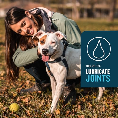VetIQ Advanced Hip & Joint Chews For Dogs, 60 Count, Chicken Flavored Supplements Made with Glucosamine, Omega 3’s, Chondroitin, MSM, and Green Lipped Mussel, Increases Mobility and Maintains Muscles
