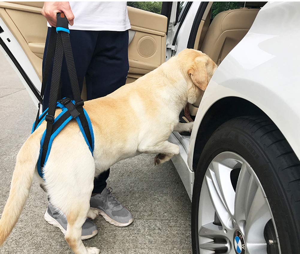 Tineer Dog Lift Harness for Back Legs Pet Support Harness Rear Sling Help Weak Legs Stand Up Support Balance Harness for Arthritis Rehabilitation Dogs (XL)