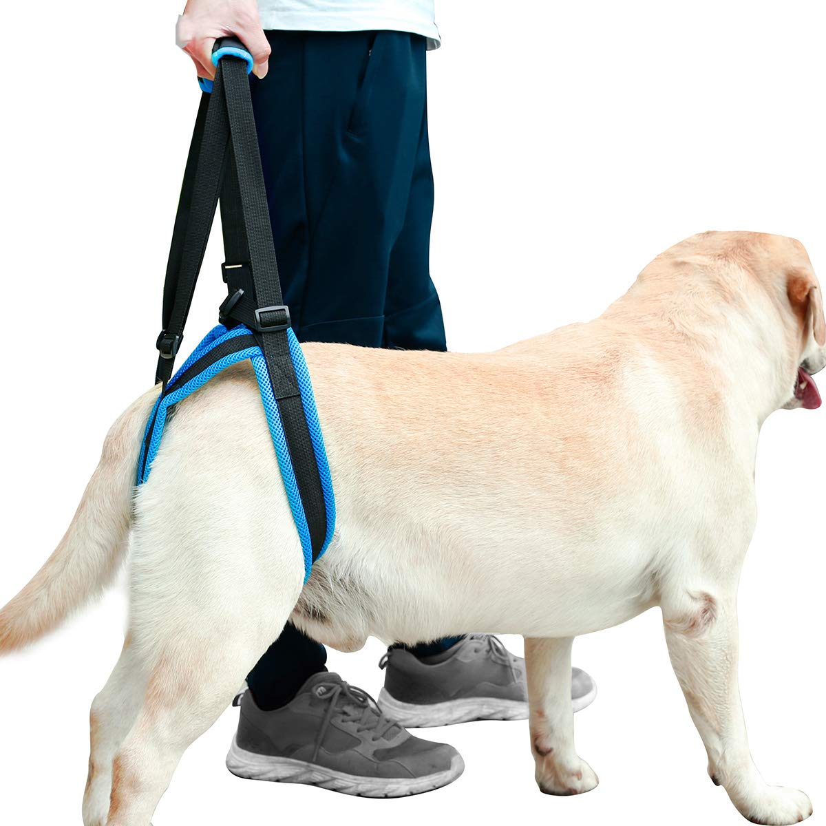 Tineer Dog Lift Harness for Back Legs Pet Support Harness Rear Sling Help Weak Legs Stand Up Support Balance Harness for Arthritis Rehabilitation Dogs (XL)