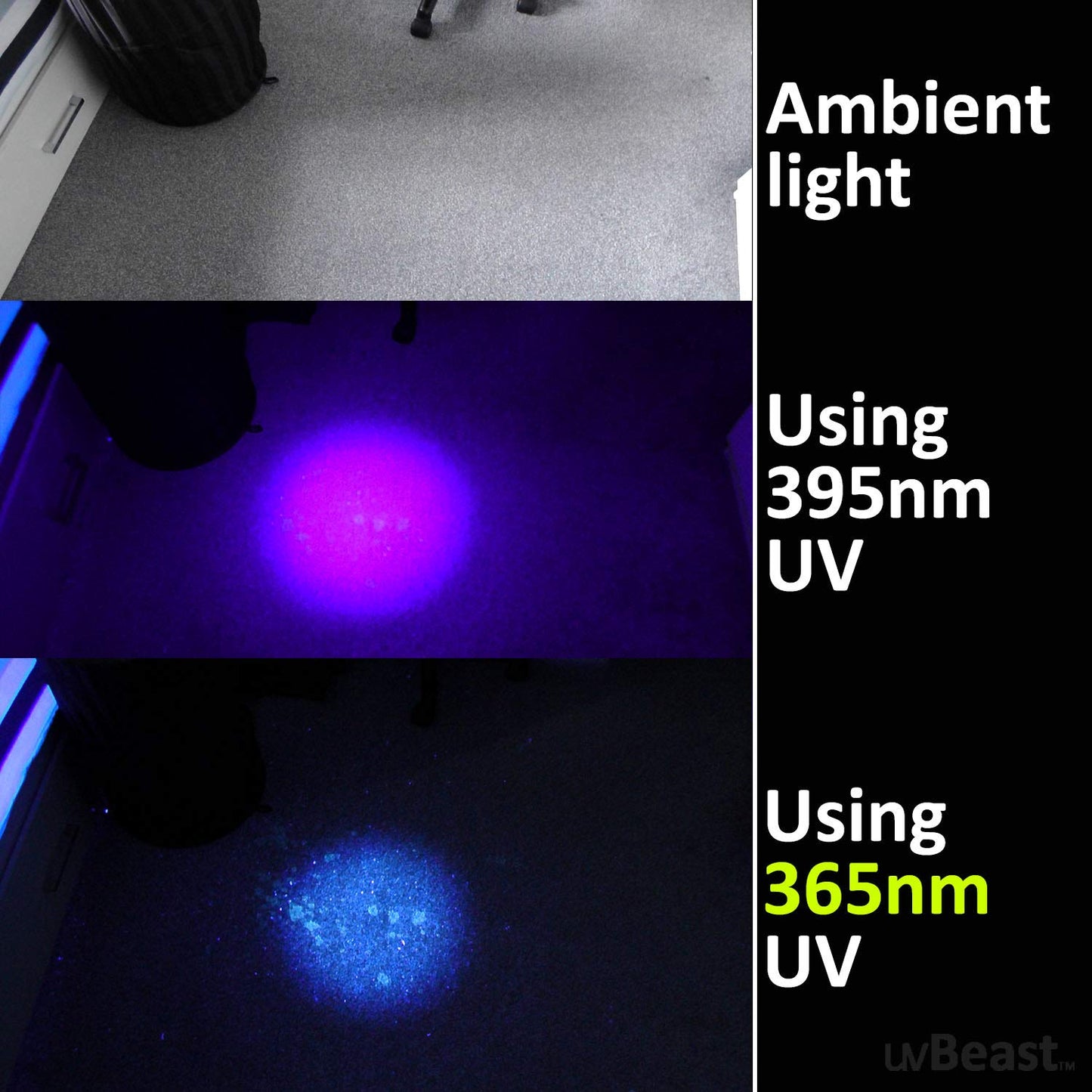 uvBeast New V3 365nm Black Light UV Flashlight – High Definition Ultraviolet - HIgh Power and Long Range Professional Grade Beam Best for Professional/Commercial Use – USA Stock