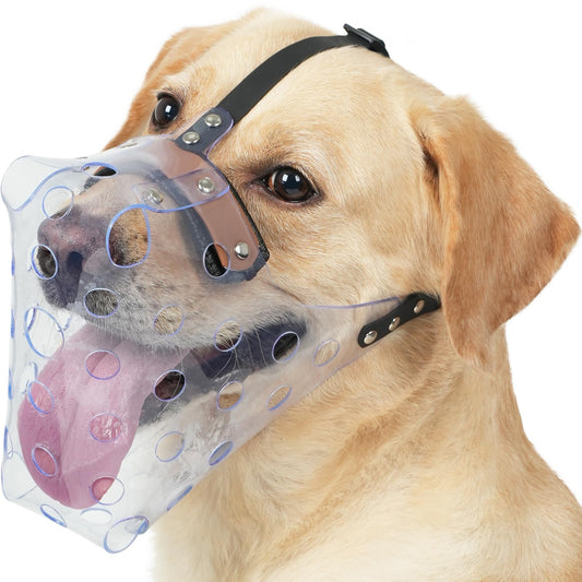 Mayerzon Dog Muzzle, Basket Muzzle for Large Medium Small Dogs, Humane Cage Mouth Guard to Prevent Biting Chewing Eating, Breathable Muzzle for Grooming Training Walking Vet Visits (M, Clear)