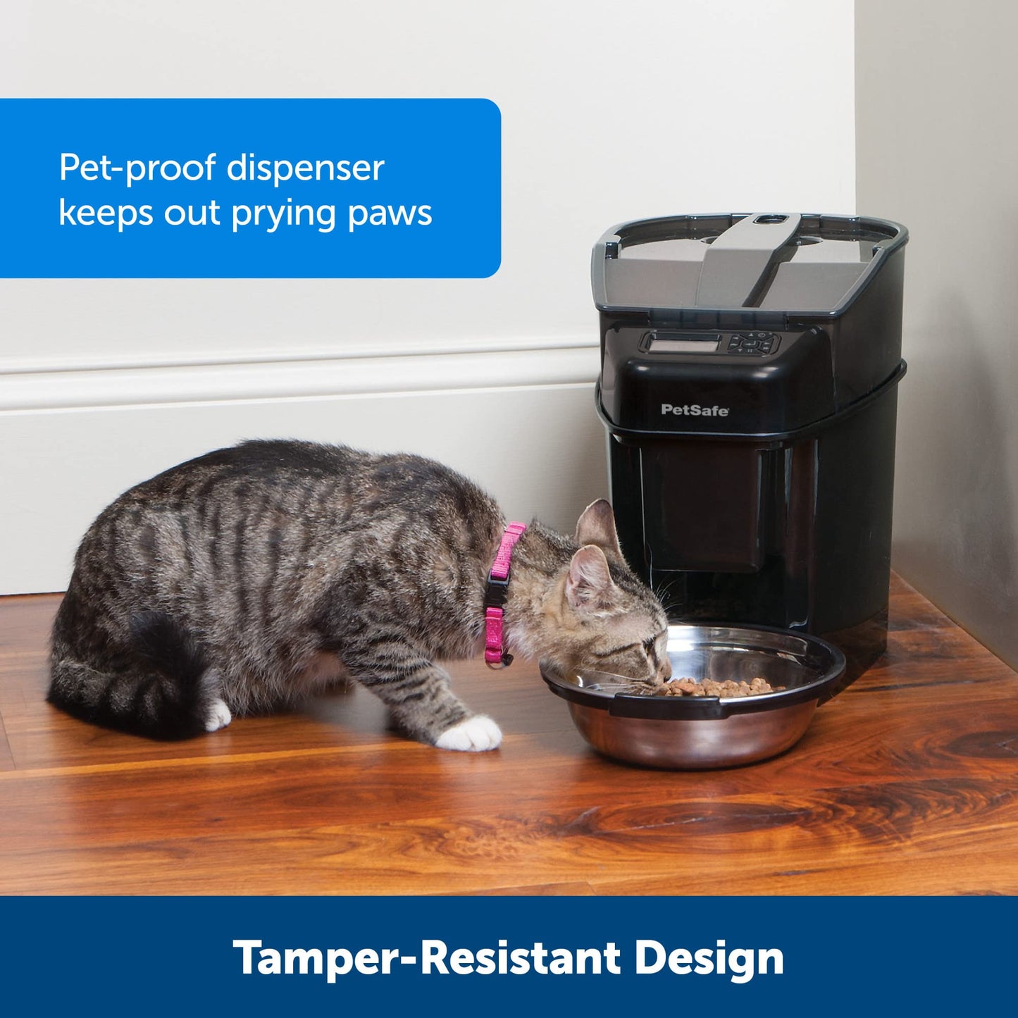 Healthy Pet Simply Feed - PetSafe Automatic Feeder - Headquartered in Knoxville, TN - Automatic Dog Feeder from The Engineers of The Smart Feed & Dancing Dot - 1-Year Comprehensive Protection Plan