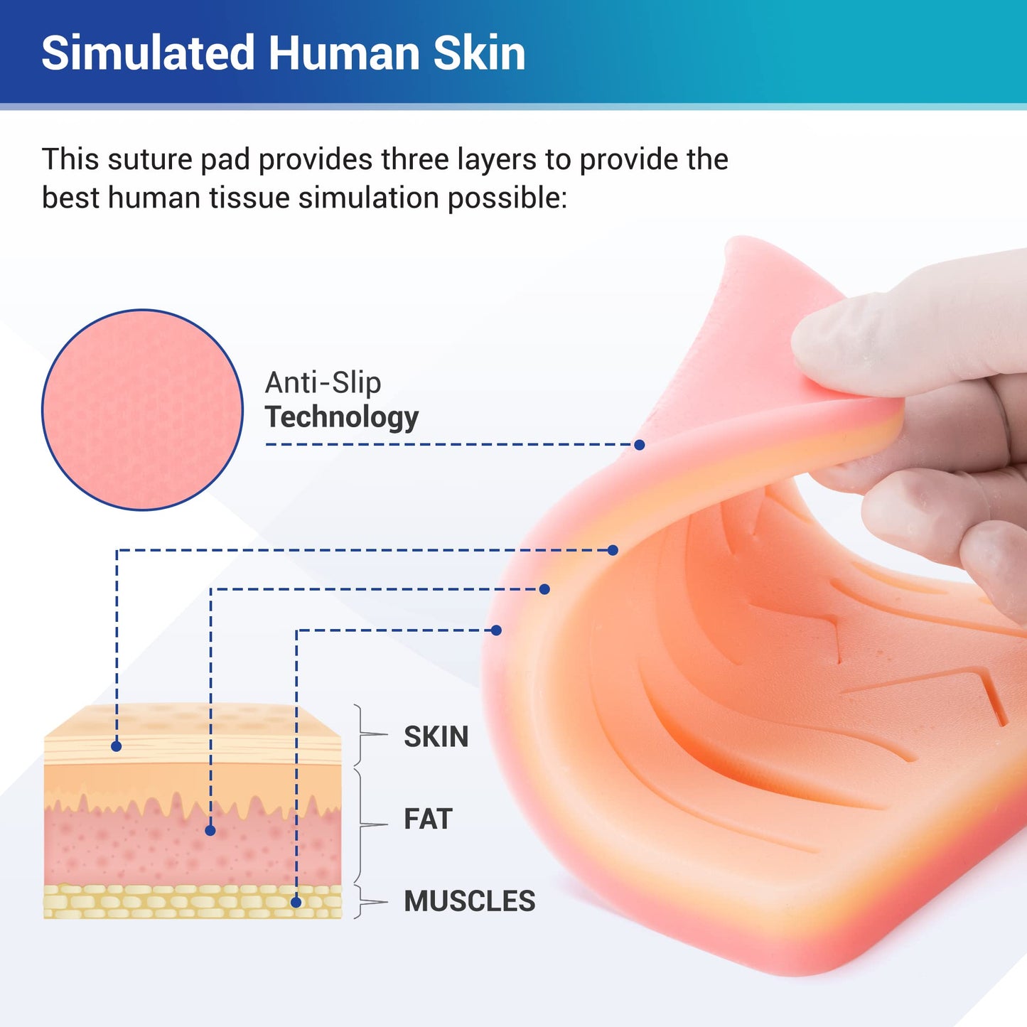 Alcedo Suture Practice Kit for Medical Students | Complete Kit (32 Pieces) Include Durable Large Suturing Pad with Pre-Cut Wounds, Tools Kit, and Suture Threads | Perfect for Practice, Demonstration