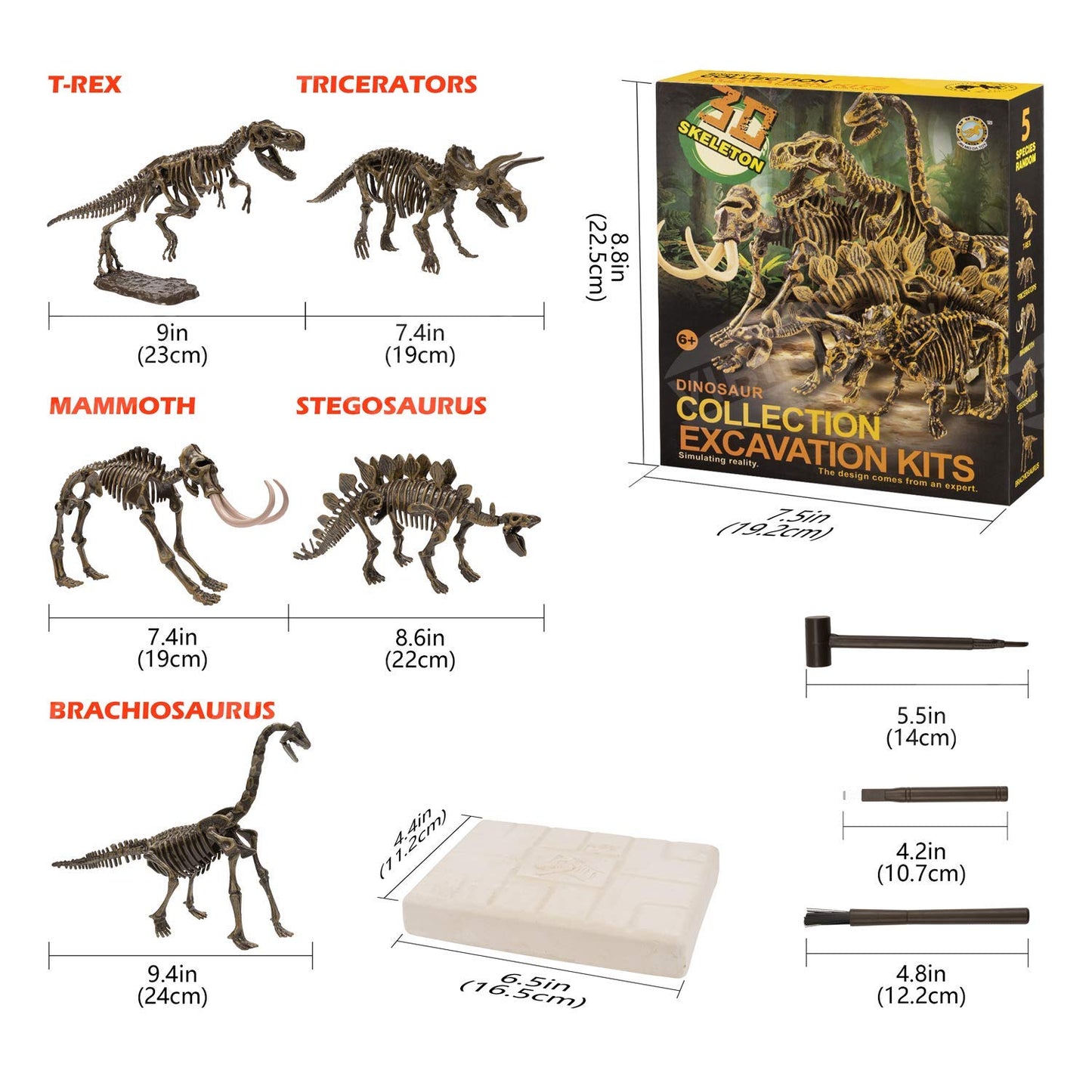VIBIRIT Dig Up Dinosaurs Skeleton Set,Dinosaur Digging Fossil Kit Model Toys Educational Realistic Toys for Kids,Boys,Girls