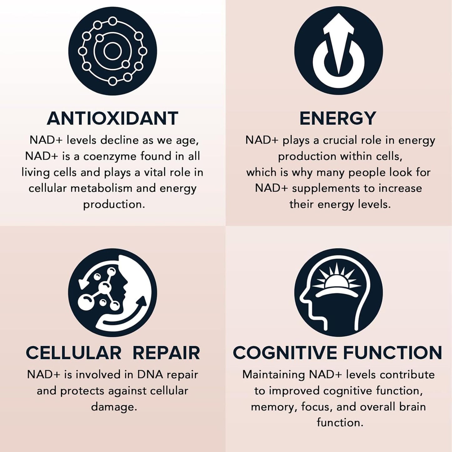 NR900 NAD+ Energy Supplement - Advanced Liposomal Nicotinamide Riboside for Cellular Energy, Focus & Muscle Strength - 80 Count - Sugar-Free, Gluten-Free, Non-GMO (80 Count (Pack of 1))