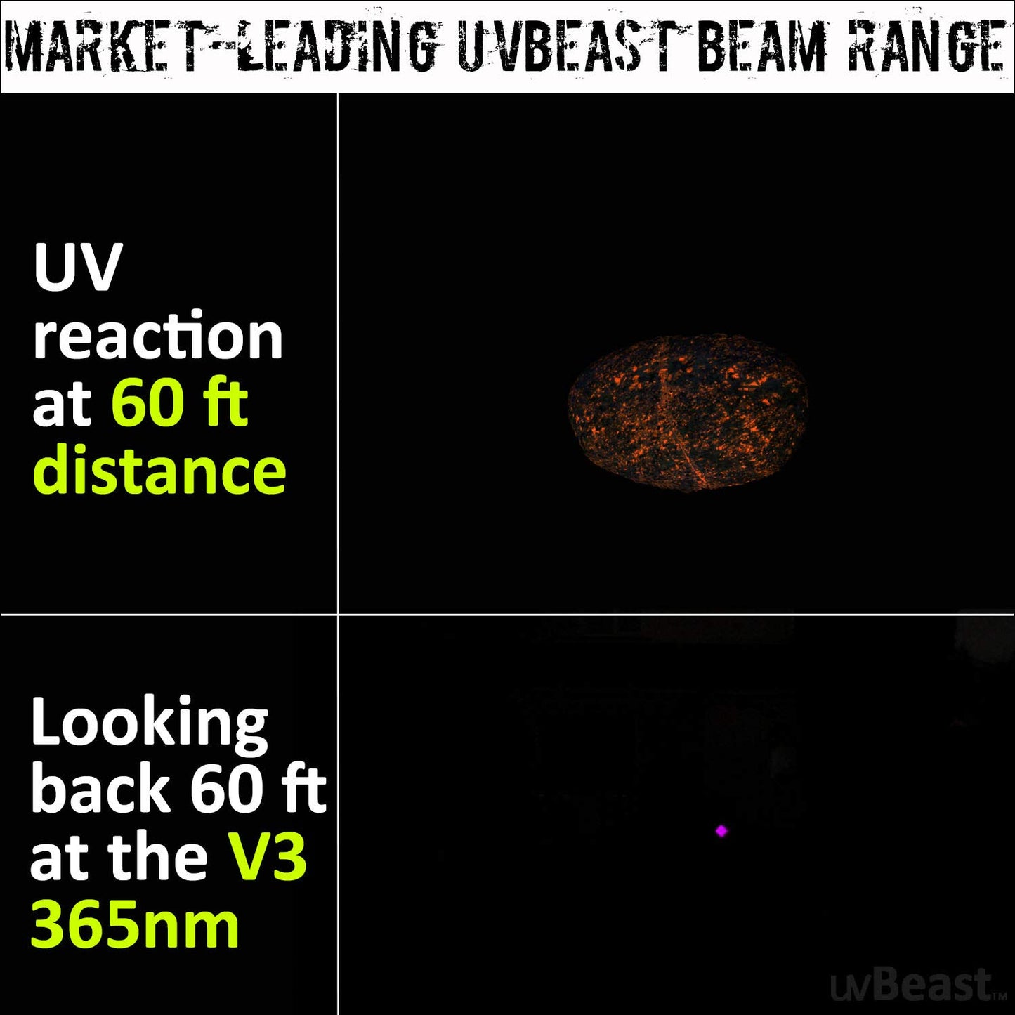 uvBeast New V3 365nm Black Light UV Flashlight – High Definition Ultraviolet - HIgh Power and Long Range Professional Grade Beam Best for Professional/Commercial Use – USA Stock