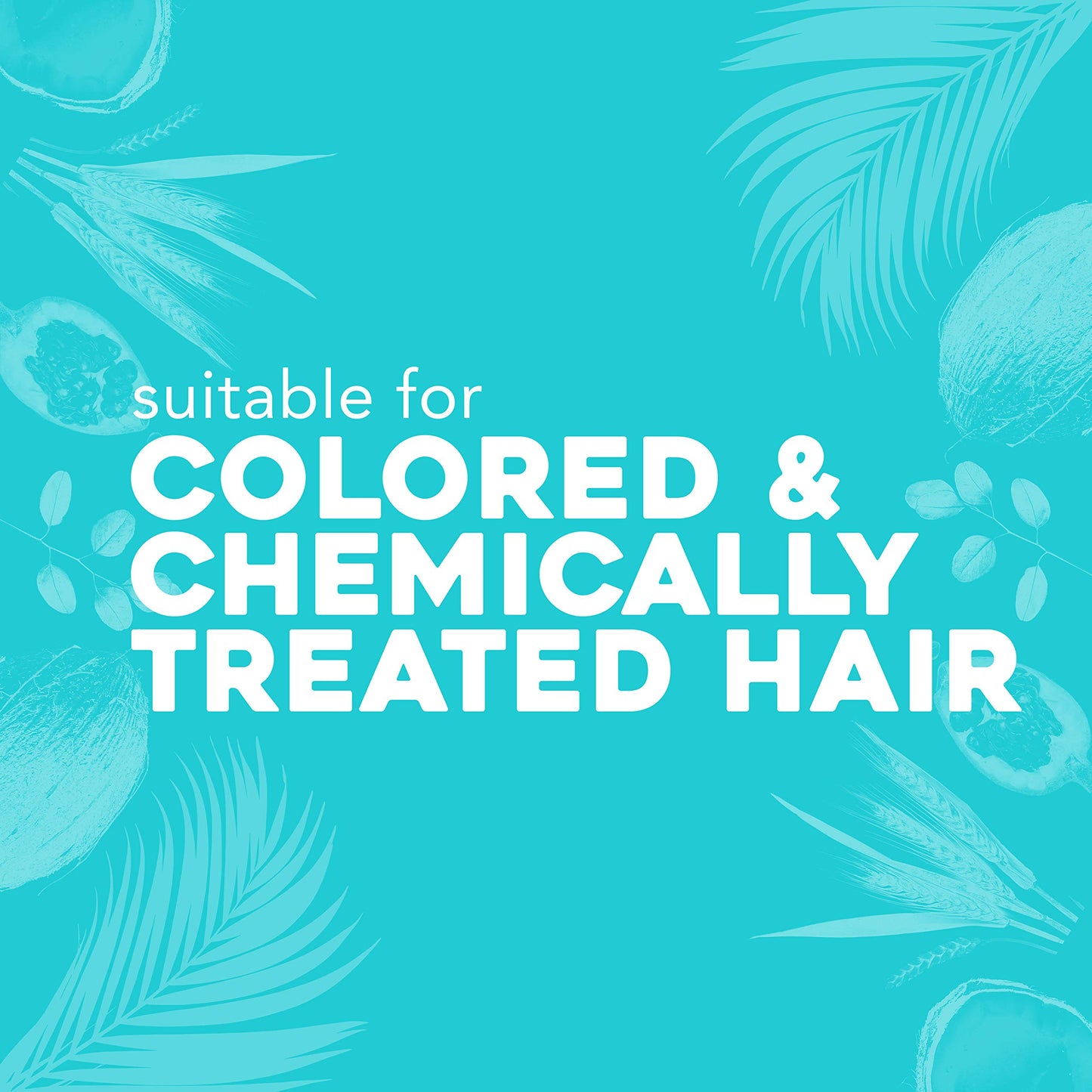 OGX Strength Length + Golden Turmeric Shampoo with Milk to Soothe Scalp Nourish Hair Ayurveda SulfateFree Surfactants for Stronger Longer Hair, Coconut, 13 Fl Oz