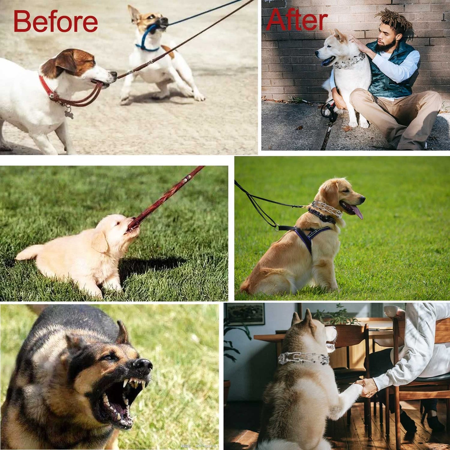 Darkyazi Durable Pinch Collar Stainless Steel Dog Adjustable Pet Training Collar for Medium Large Dogs (Large (Pack of 1), Silver)