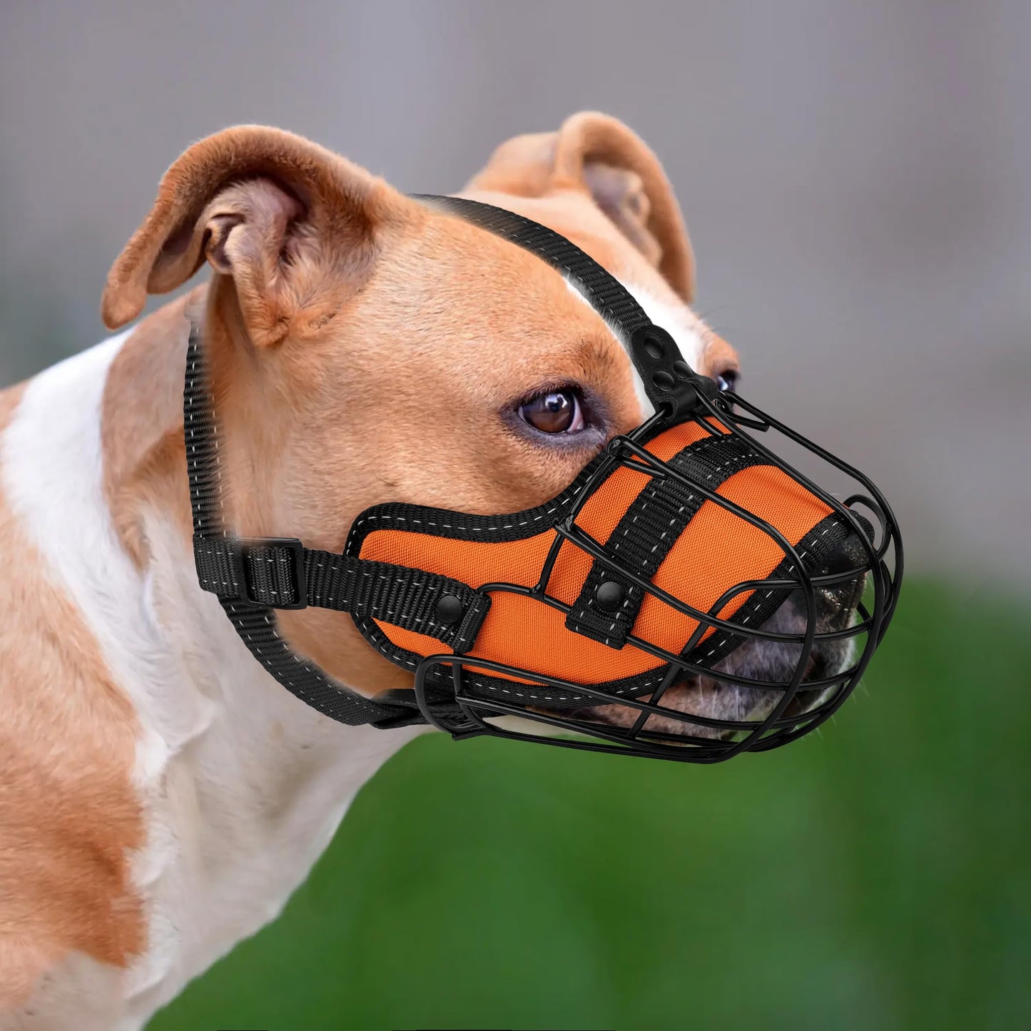 OOPSDOGGY Pitbull Dog Muzzle Reflective Metal Mask Secure Wire Basket Muzzle for Large Sized Dogs Amstaff Soft Cage Muzzle to Prevent Biting Chewing with Adjustable Nylon Straps (Orange, Pitbull)