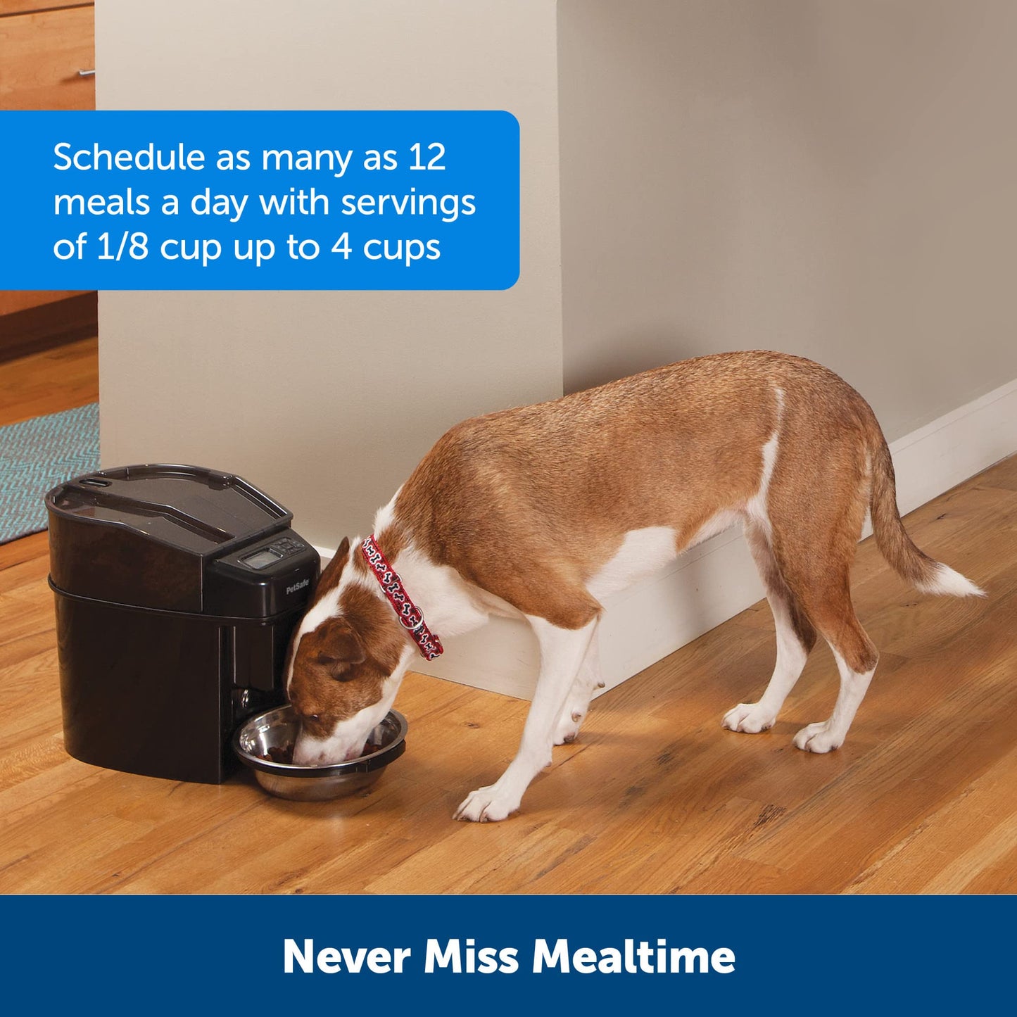 Healthy Pet Simply Feed - PetSafe Automatic Feeder - Headquartered in Knoxville, TN - Automatic Dog Feeder from The Engineers of The Smart Feed & Dancing Dot - 1-Year Comprehensive Protection Plan
