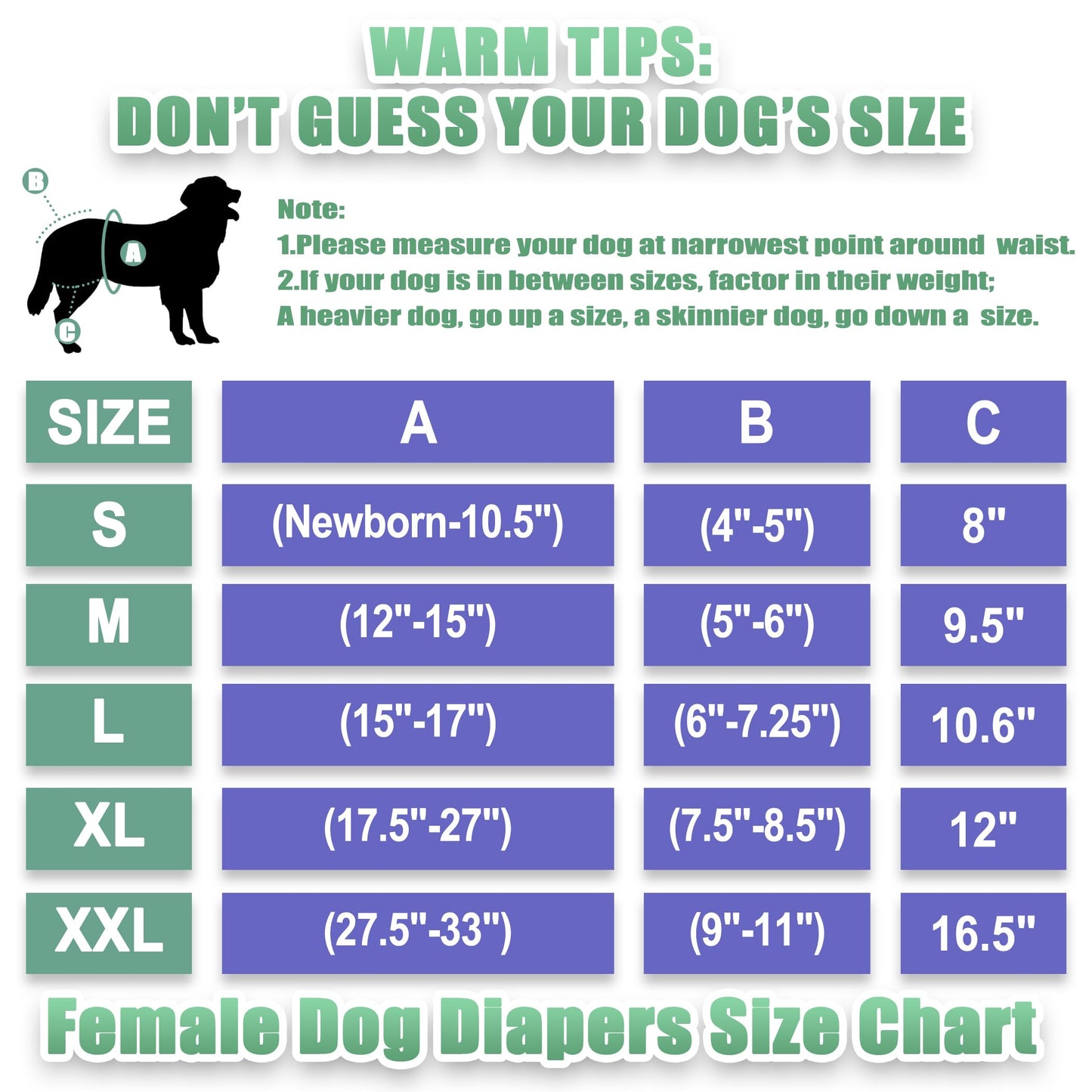 wegreeco Washable Reusable Premium Female Dog Diapers, Small Medium Large Size,for Female Dog, Pack of 3,Small Dog Doggie Puppy & Doggy Diapers Female,Dog Period Panties Diapers Female in Heat