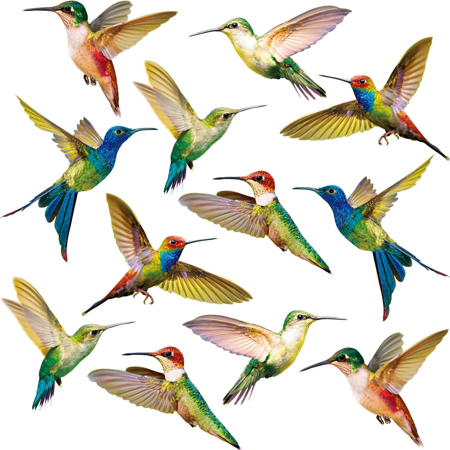 Blulu 18 Pieces Large Size Hummingbird Window Clings Anti-Collision Window Clings Decals to Prevent Bird Strikes on Window Glass Non Adhesive Vinyl Cling Hummingbird Stickers