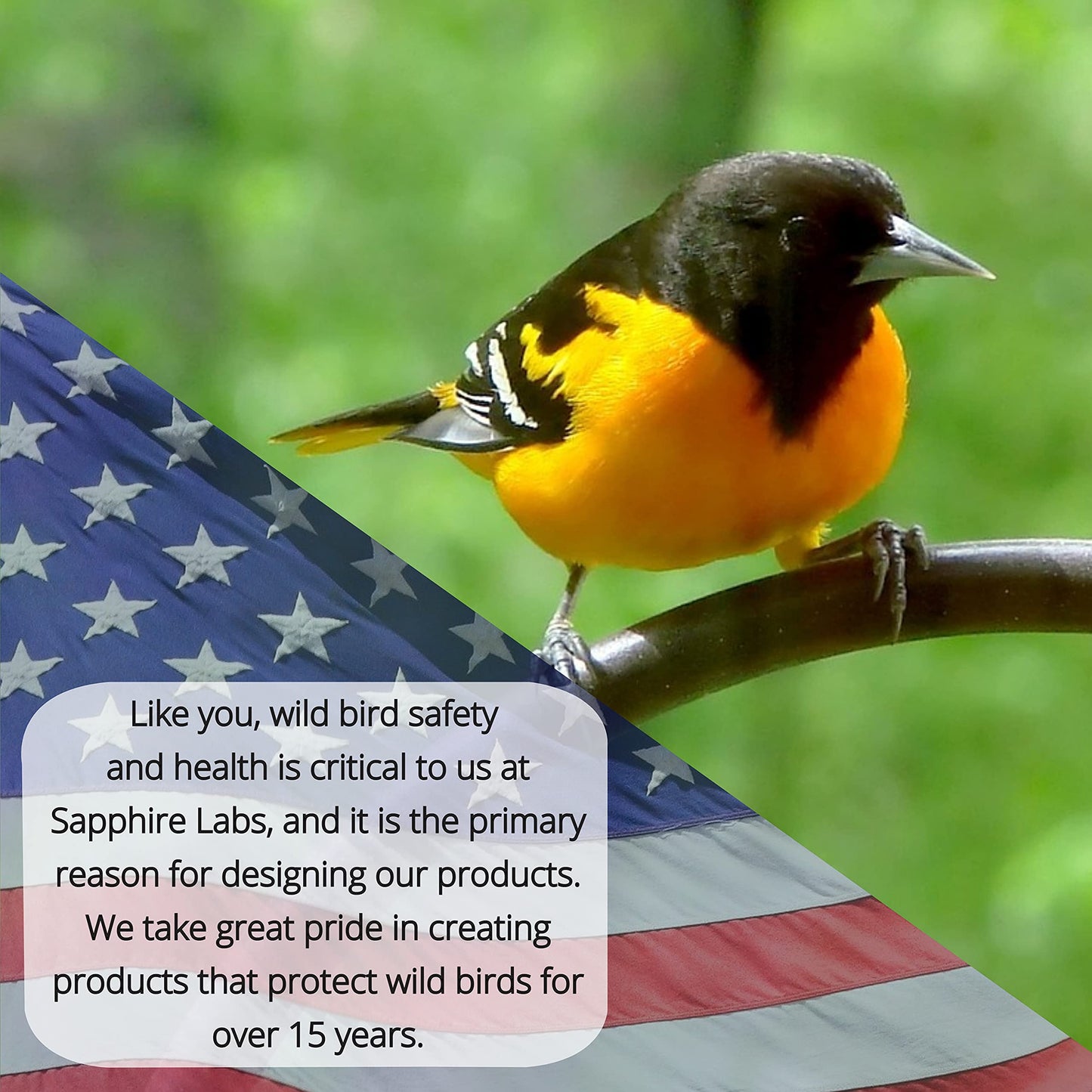 Sapphire Labs Naturally Fresh Hummingbird Nectar with Nectar Defender Lasts Longer in Hummingbird Feeders | Easy to Use Powder | Makes 96 oz of Clear Hummingbird Nectar | 2 Pack